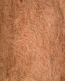 Coconut Fiber