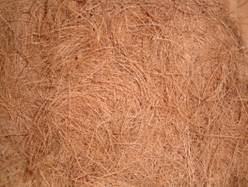 Coconut Fiber Bale